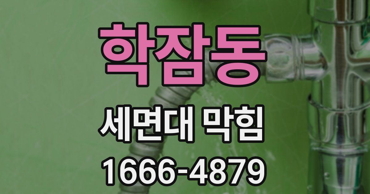 학잠동 세면대 막힘