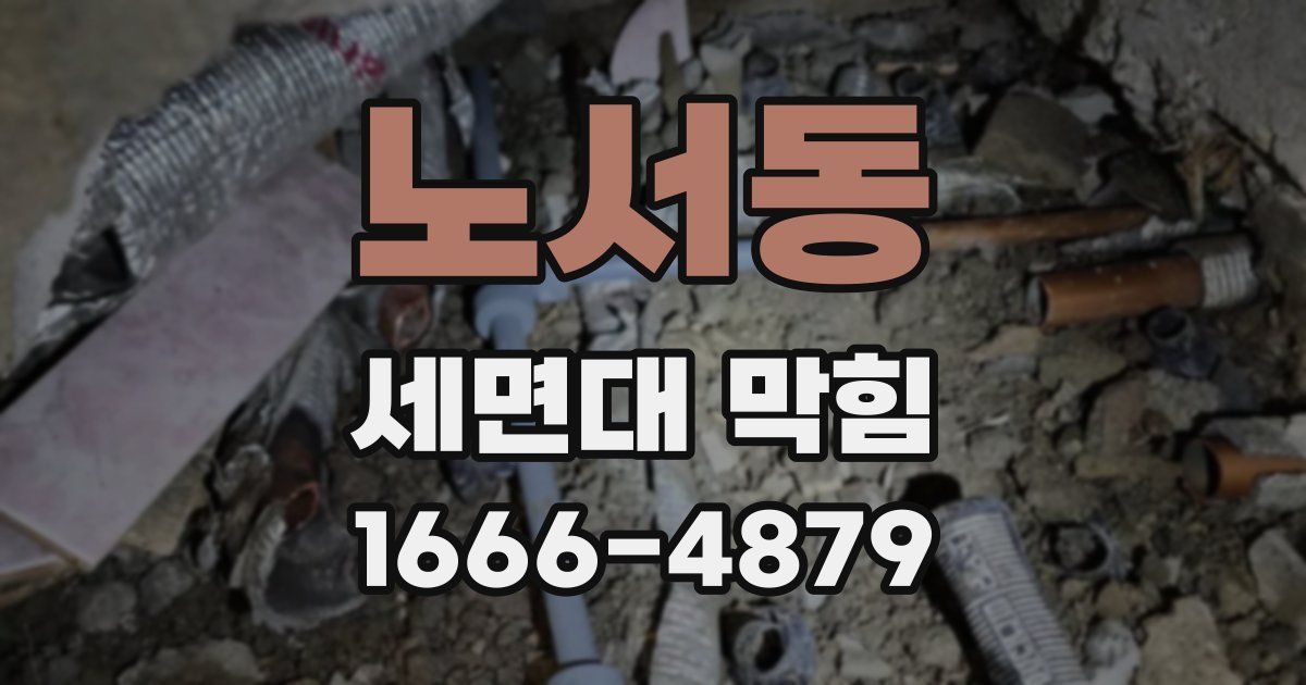 노서동 세면대 막힘