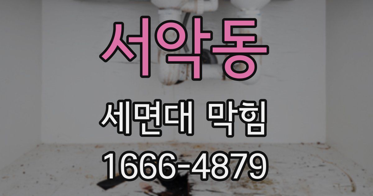 서악동 세면대 막힘
