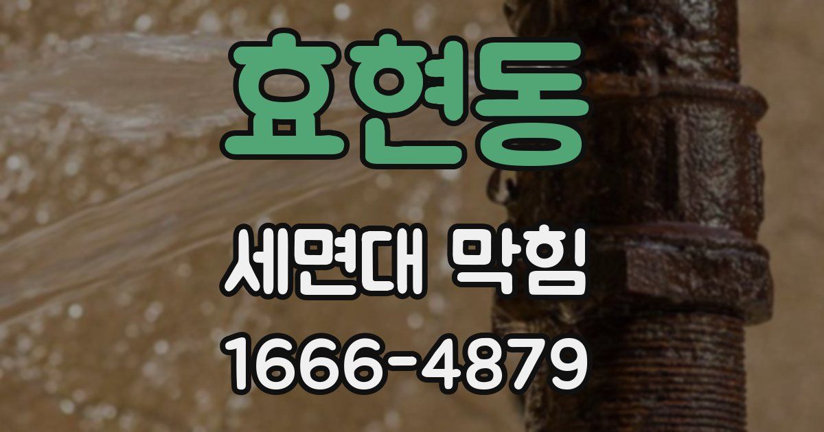 효현동 세면대 막힘