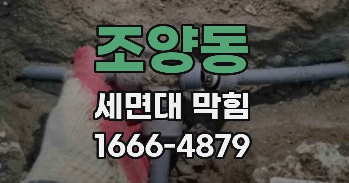 조양동 세면대 막힘