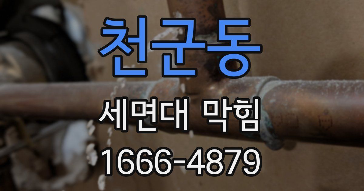 천군동 세면대 막힘
