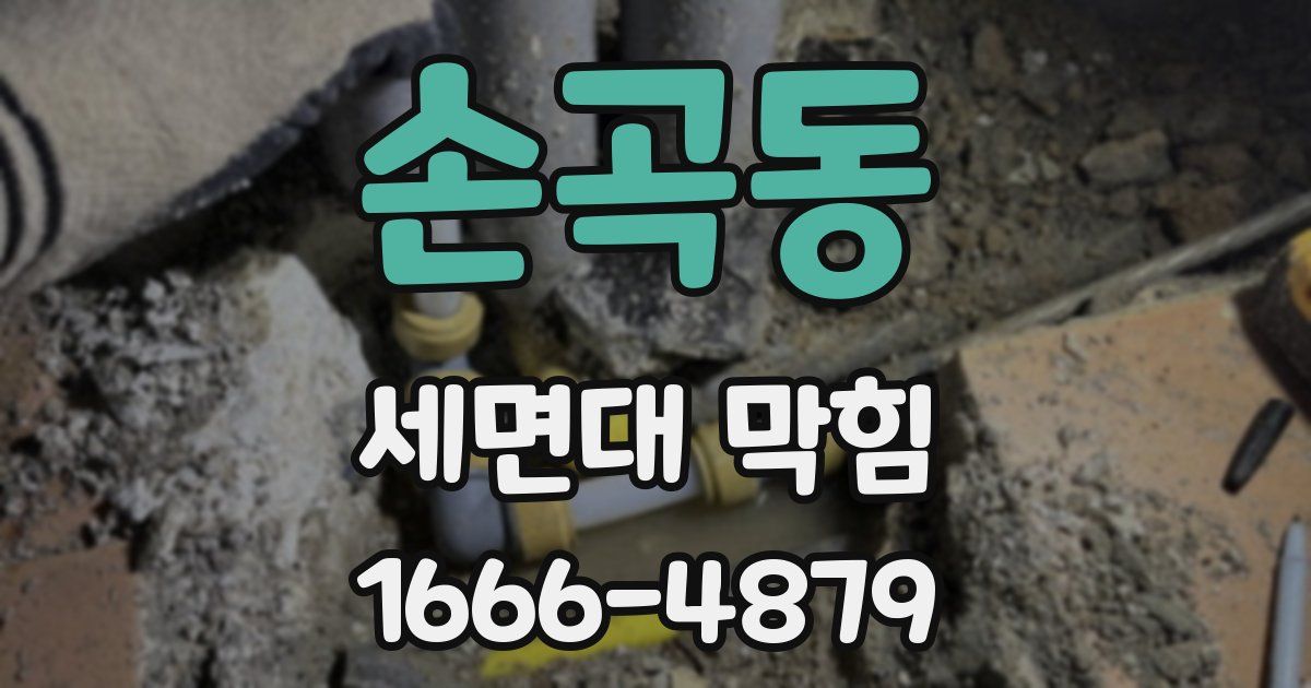 손곡동 세면대 막힘