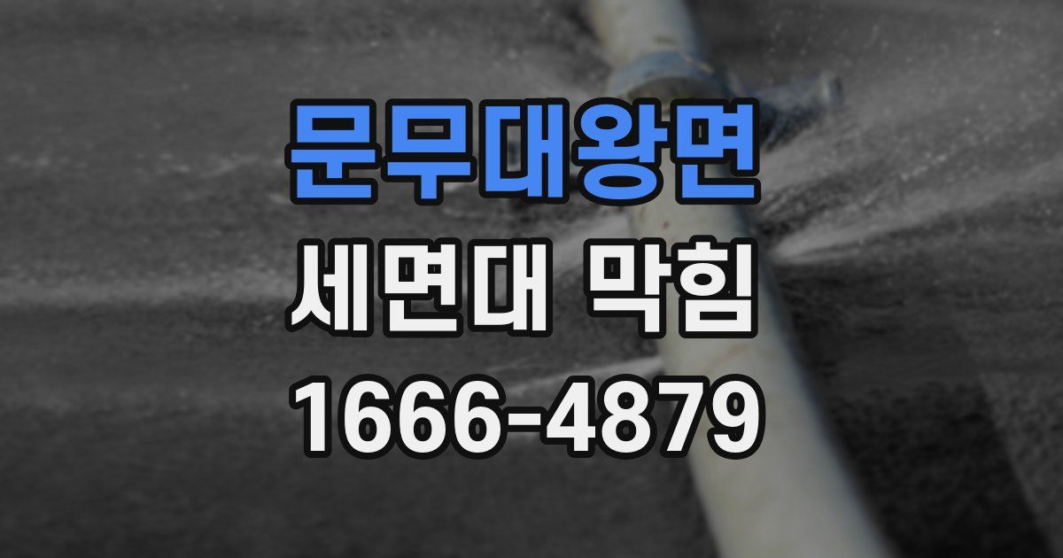 문무대왕면 세면대 막힘