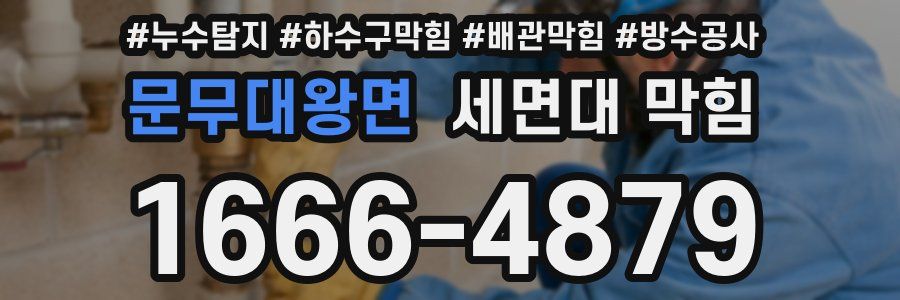 문무대왕면 세면대 막힘