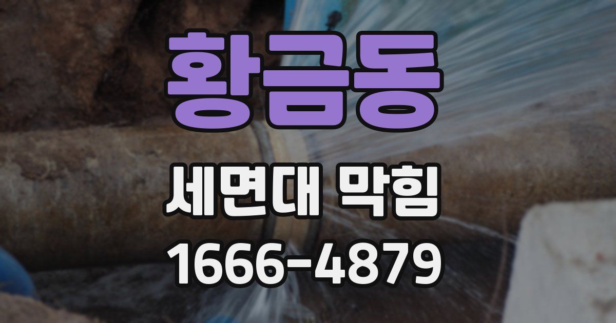 황금동 세면대 막힘