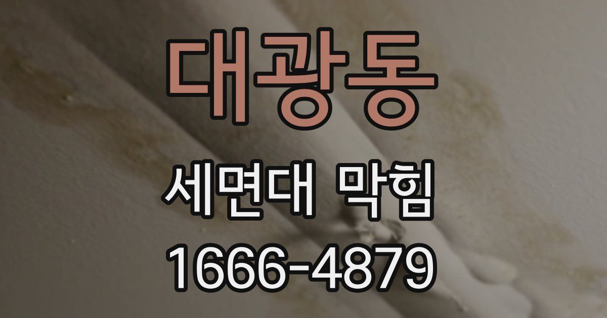 대광동 세면대 막힘