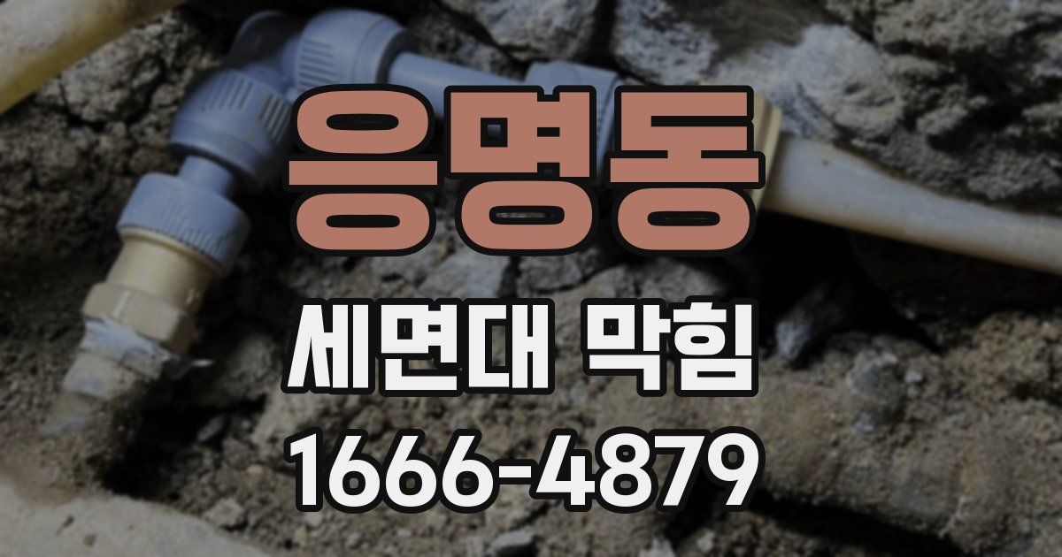 응명동 세면대 막힘
