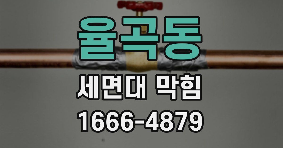 율곡동 세면대 막힘
