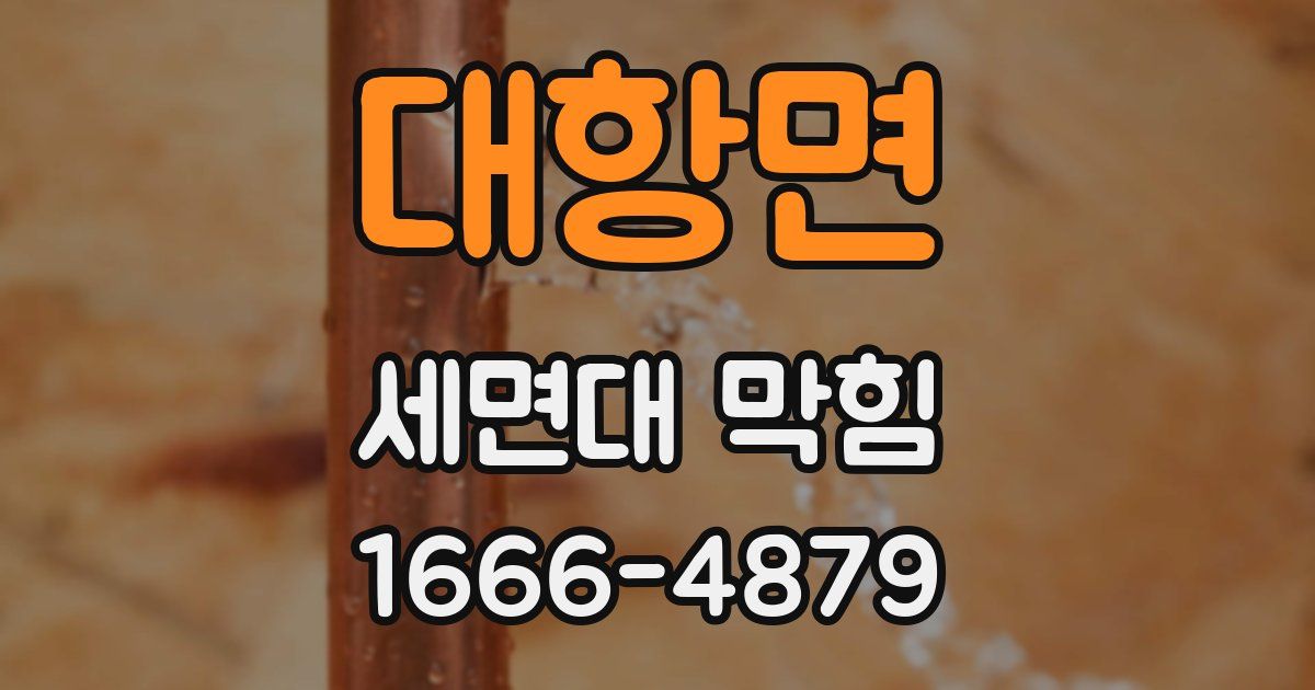 대항면 세면대 막힘