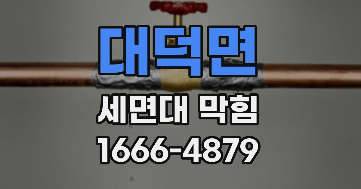 대덕면 세면대 막힘