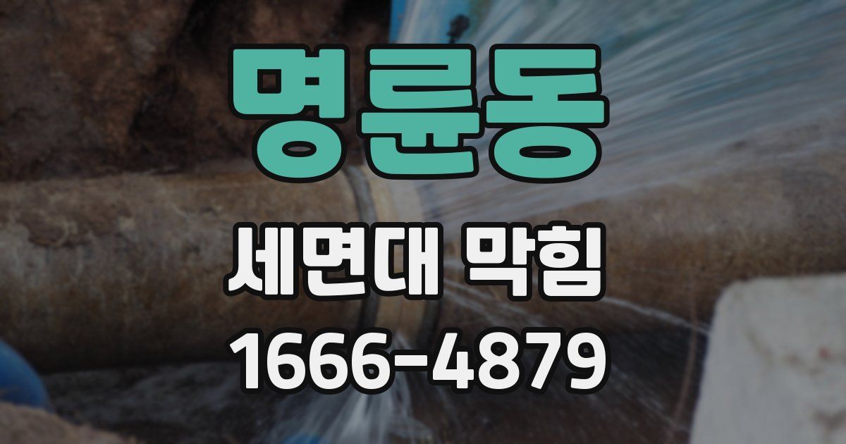 명륜동 세면대 막힘