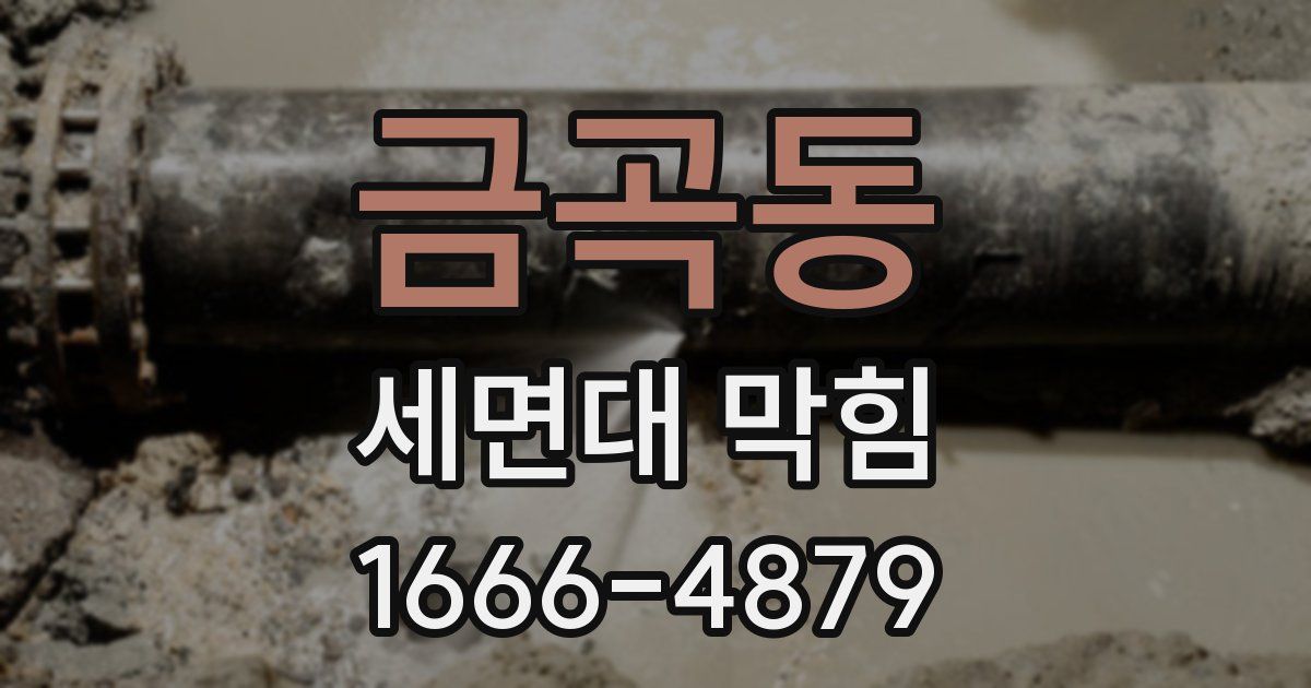 금곡동 세면대 막힘