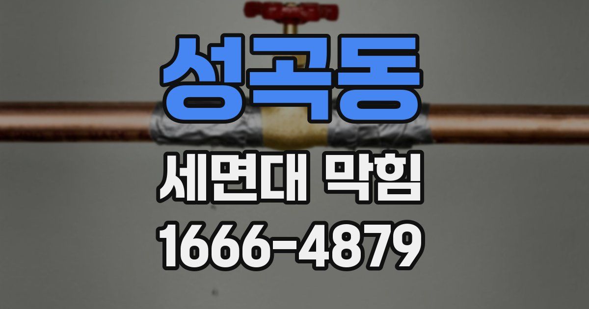 성곡동 세면대 막힘