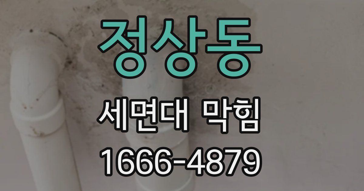 정상동 세면대 막힘