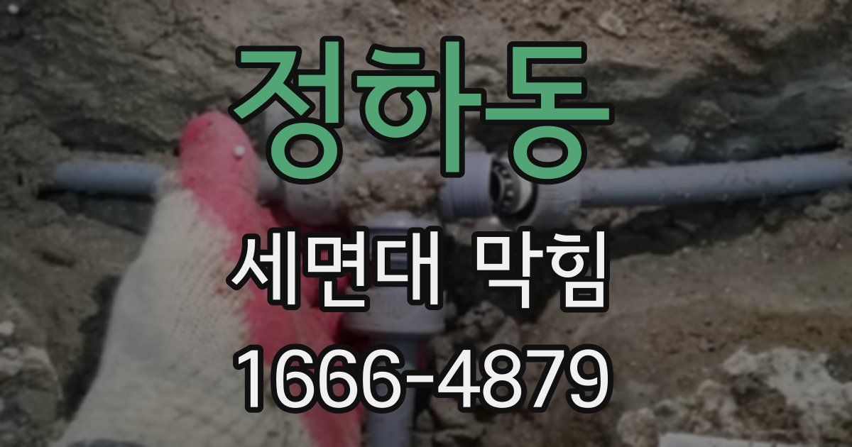 정하동 세면대 막힘