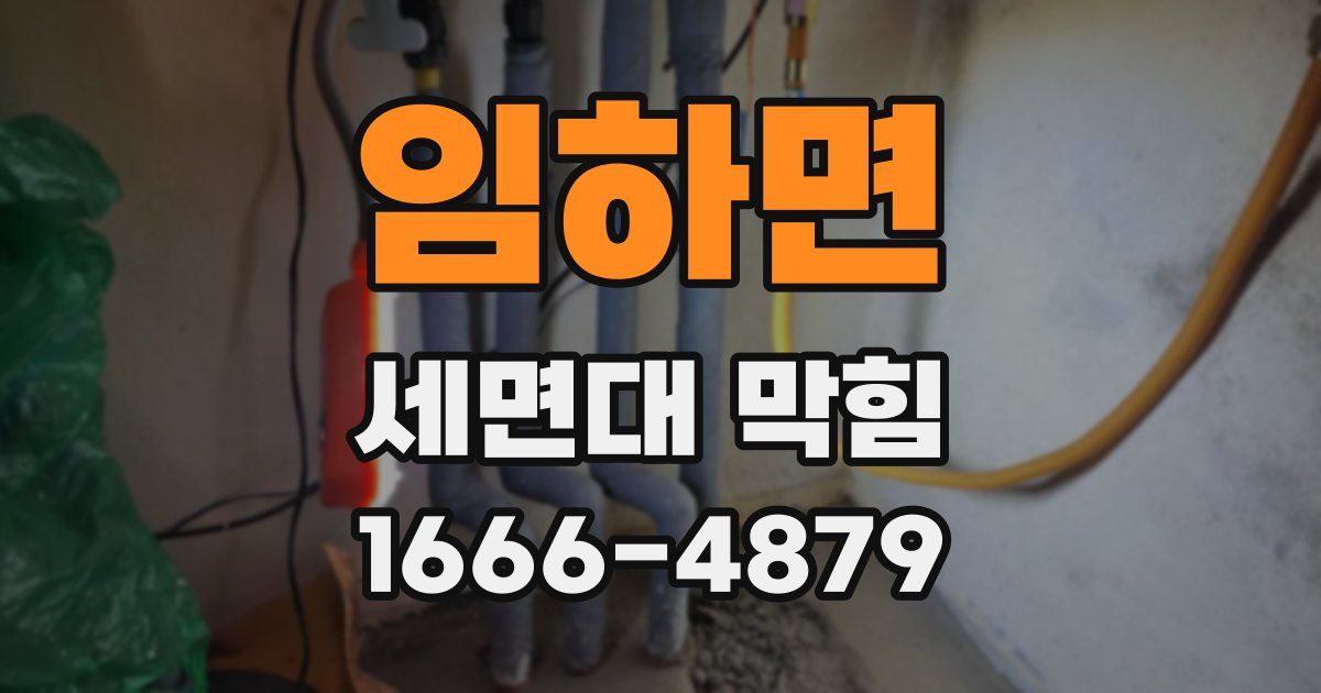 임하면 세면대 막힘