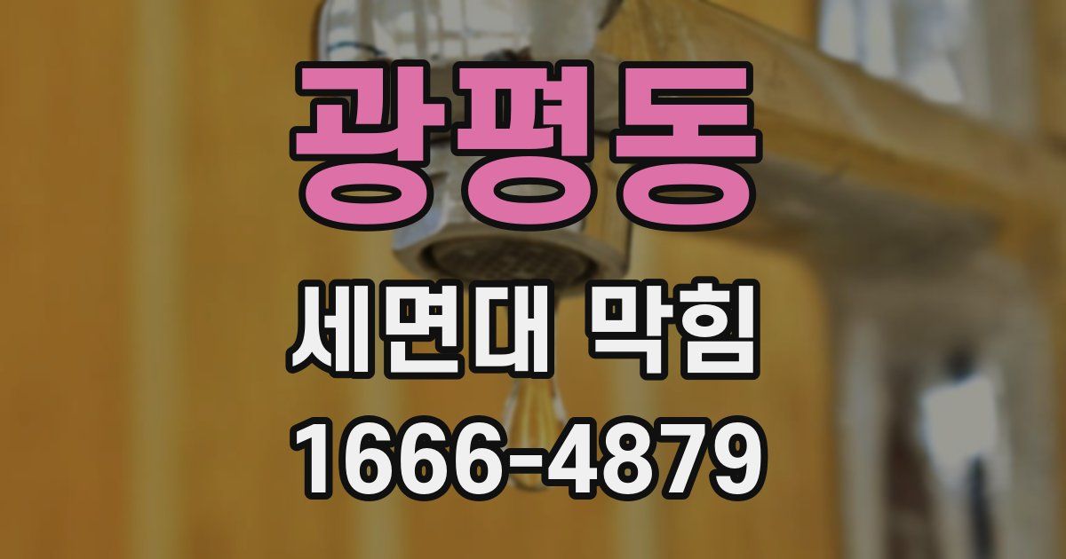 광평동 세면대 막힘