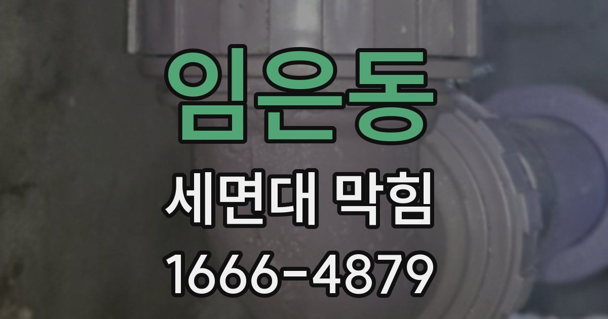 임은동 세면대 막힘