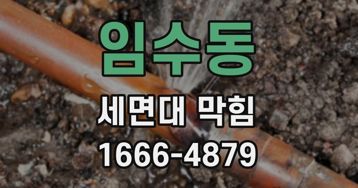 임수동 세면대 막힘