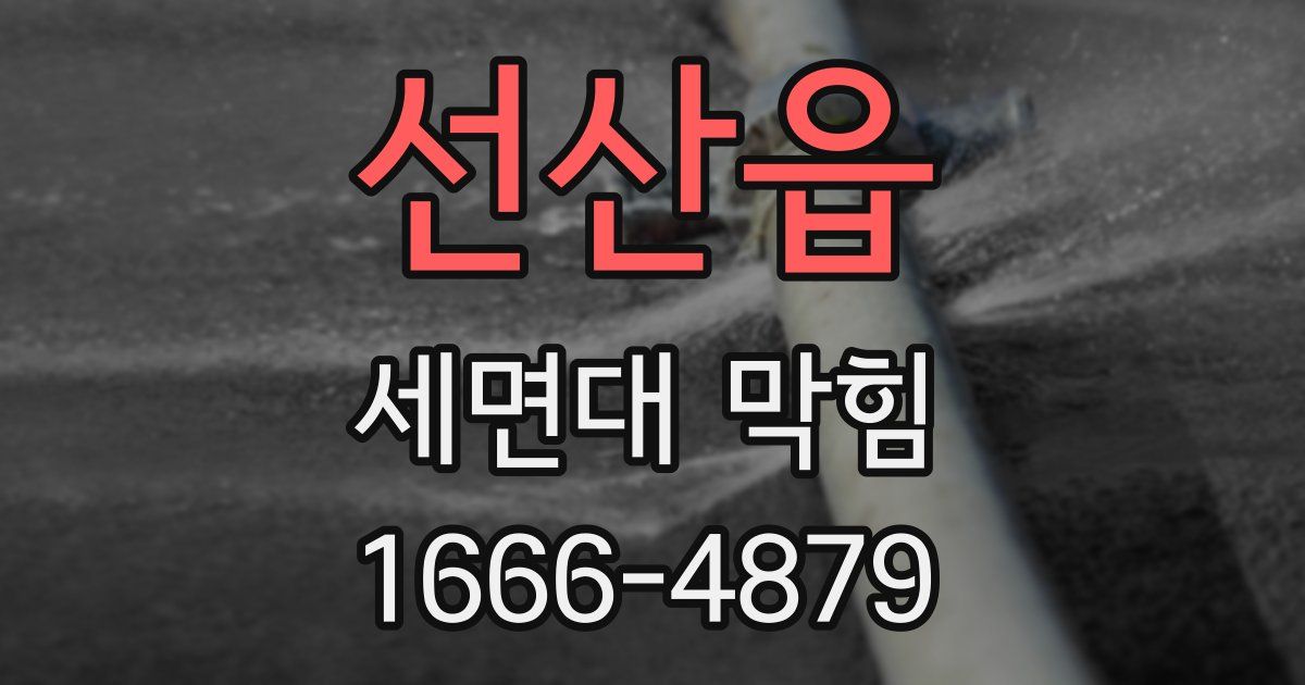 선산읍 세면대 막힘