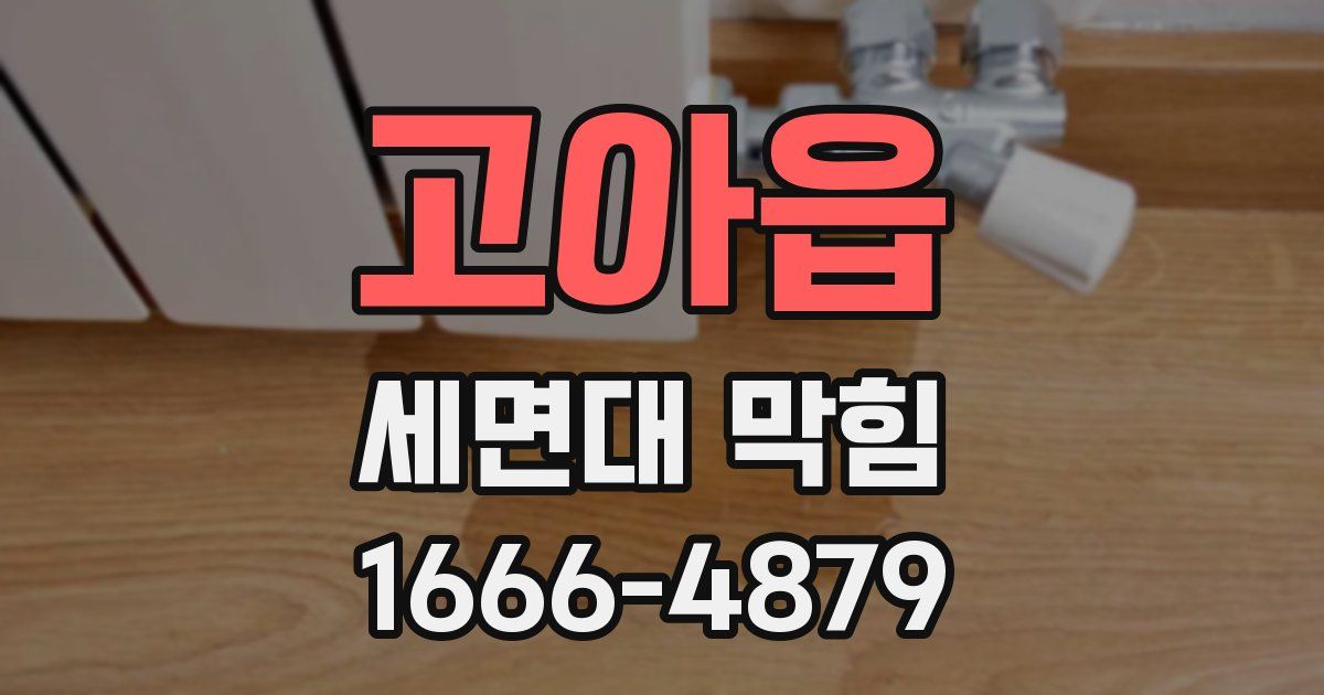 고아읍 세면대 막힘