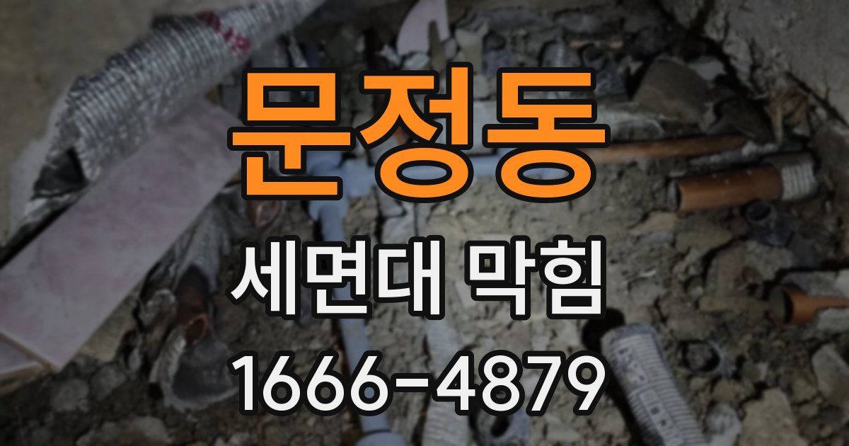 문정동 세면대 막힘