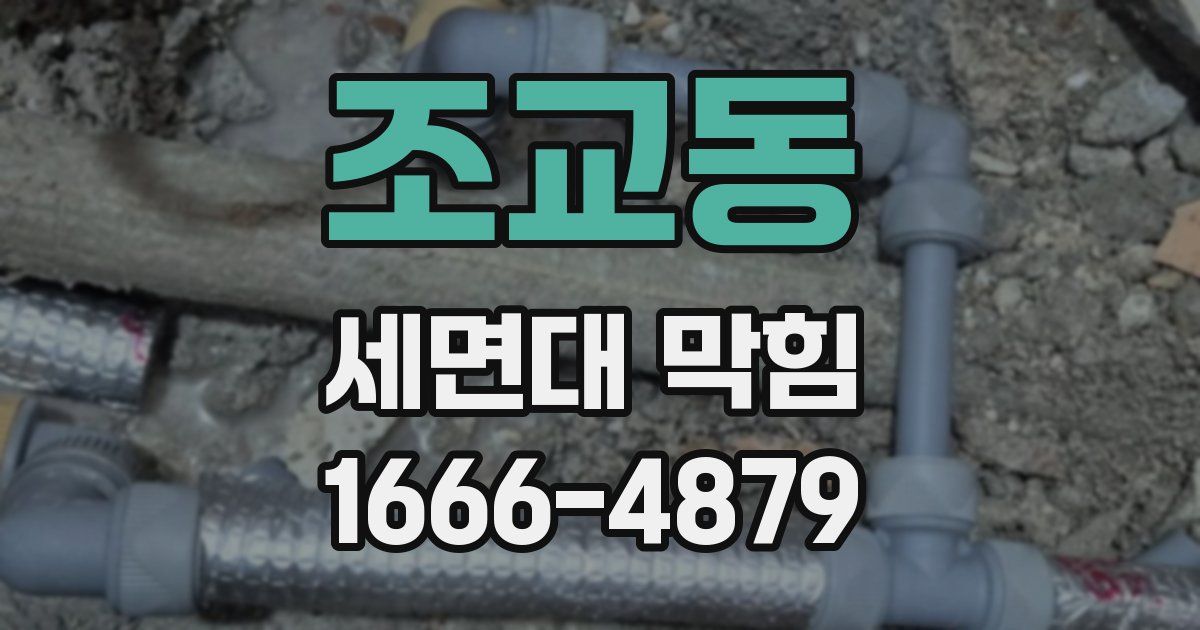 조교동 세면대 막힘