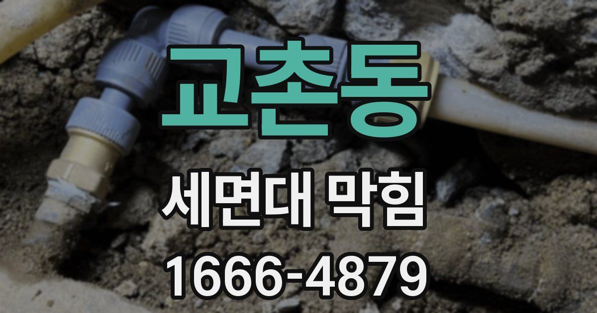 교촌동 세면대 막힘