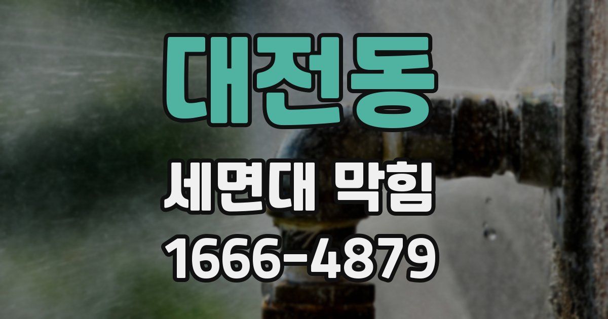 대전동 세면대 막힘