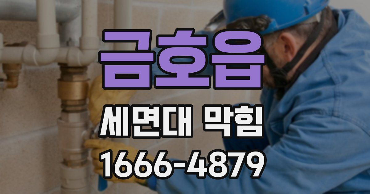 금호읍 세면대 막힘