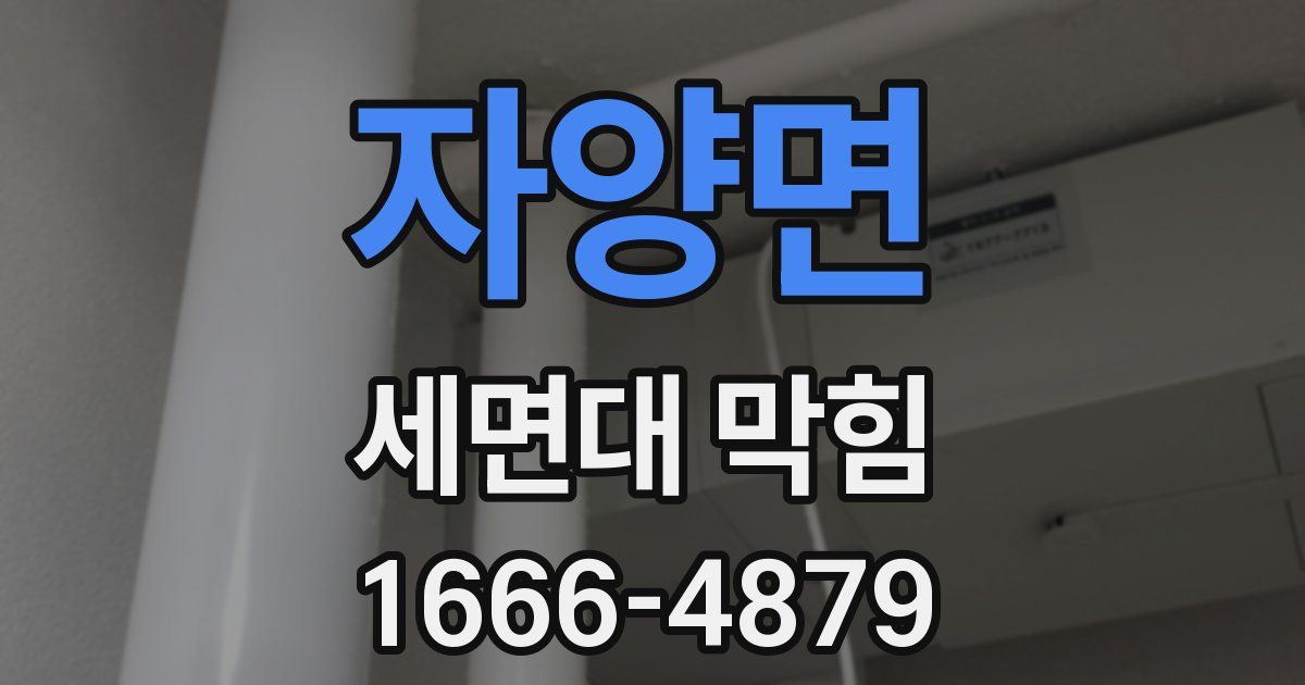 자양면 세면대 막힘