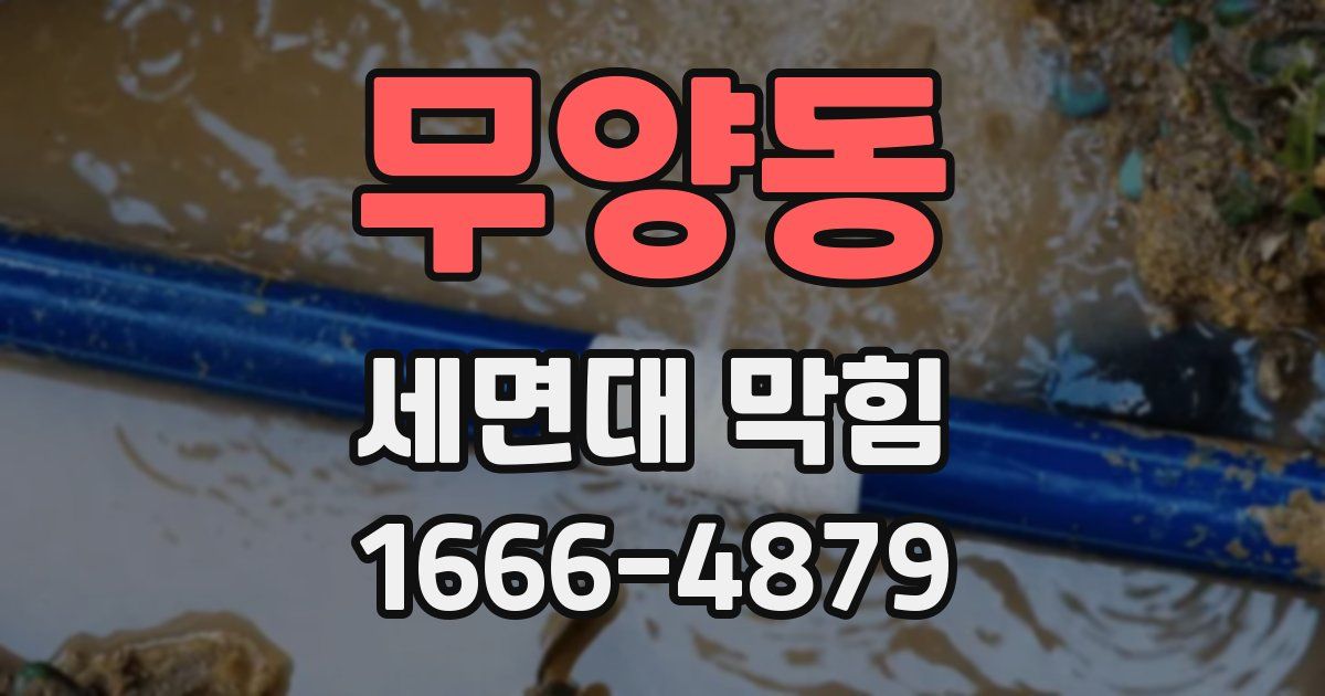 무양동 세면대 막힘