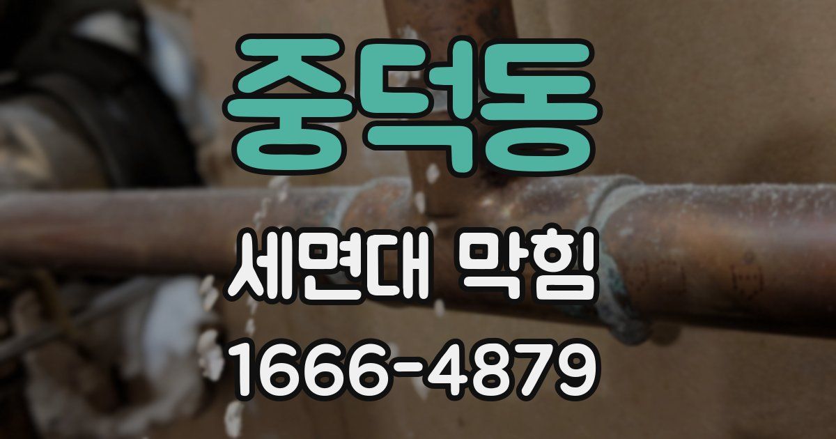 중덕동 세면대 막힘