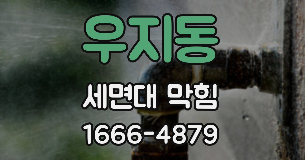 우지동 세면대 막힘
