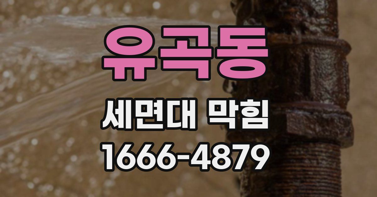 유곡동 세면대 막힘
