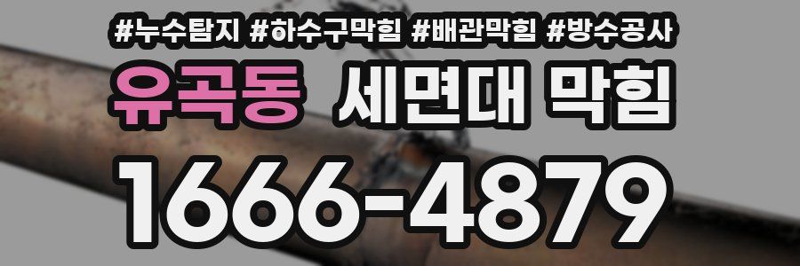 유곡동 세면대 막힘