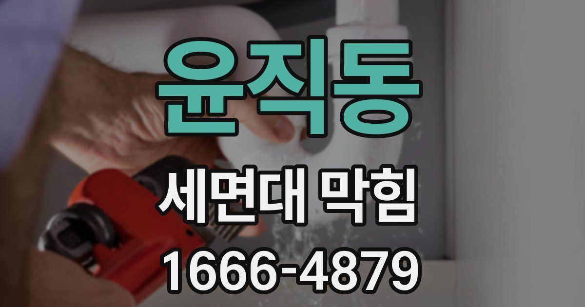 윤직동 세면대 막힘
