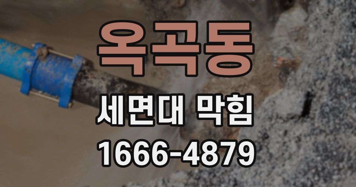 옥곡동 세면대 막힘