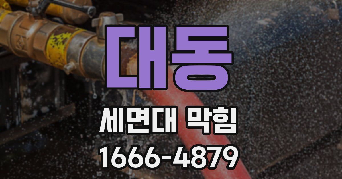 대동 세면대 막힘