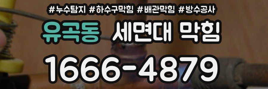 유곡동 세면대 막힘