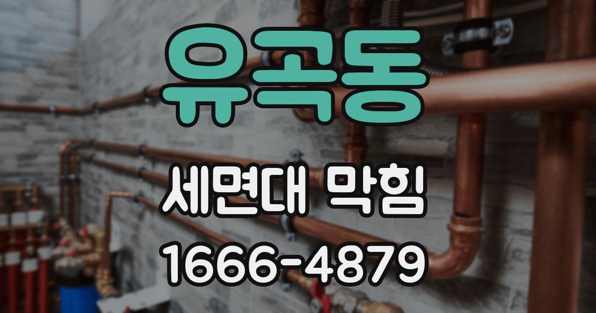 유곡동 세면대 막힘