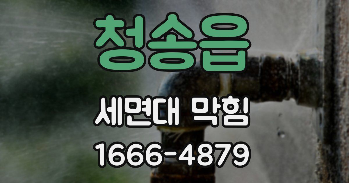청송읍 세면대 막힘