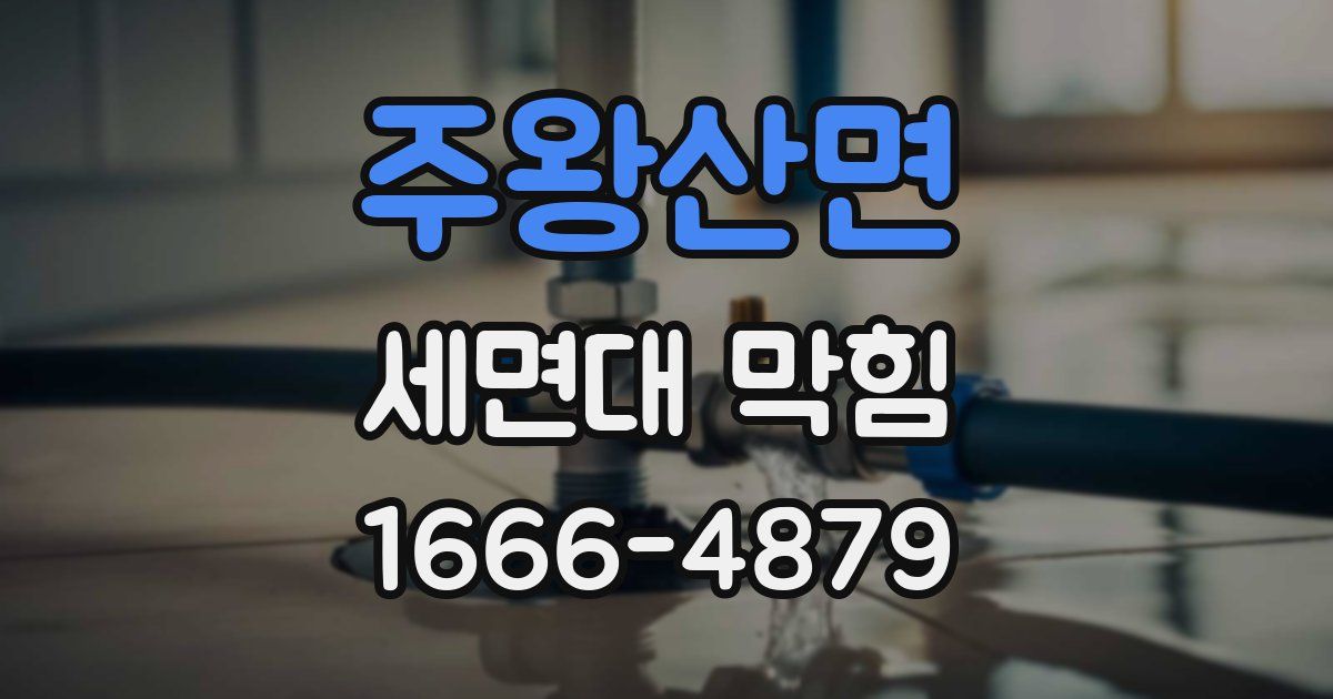 주왕산면 세면대 막힘