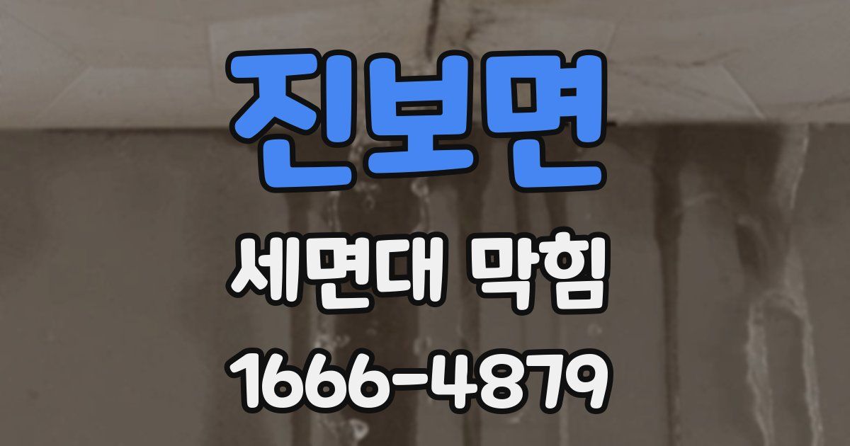 진보면 세면대 막힘
