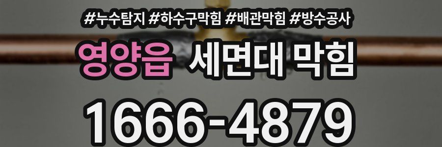 영양읍 세면대 막힘