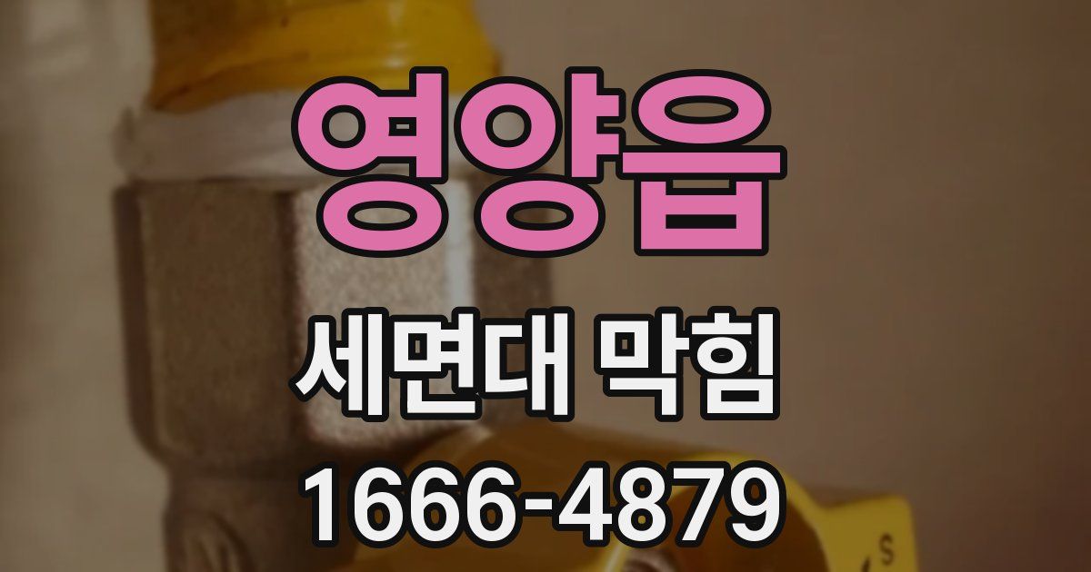 영양읍 세면대 막힘