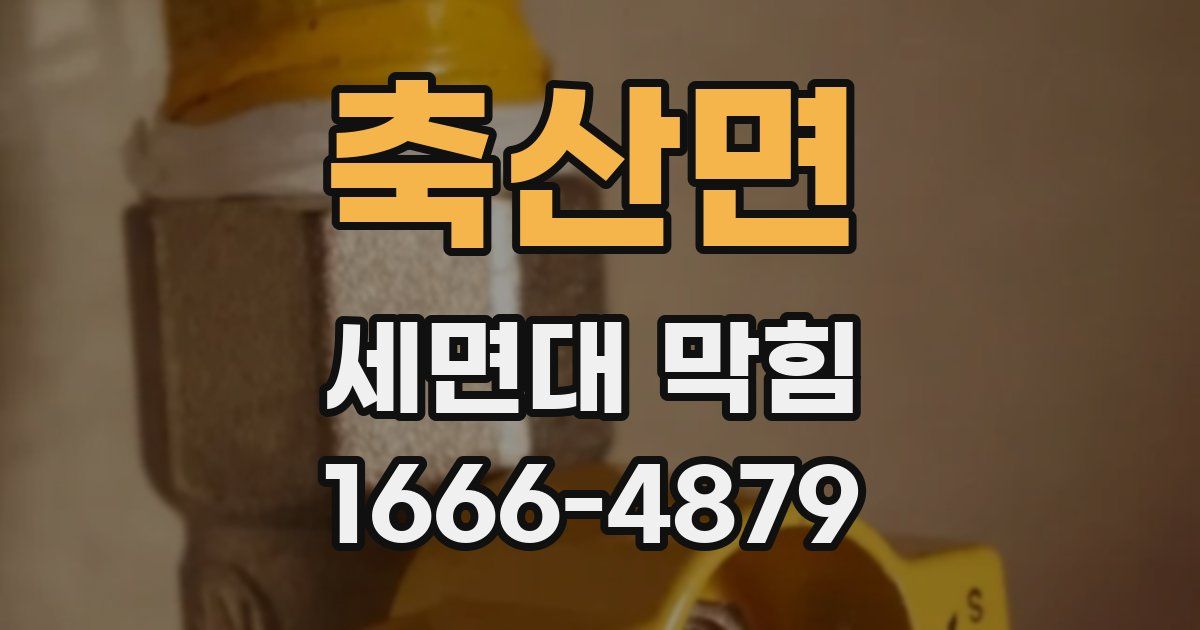 축산면 세면대 막힘