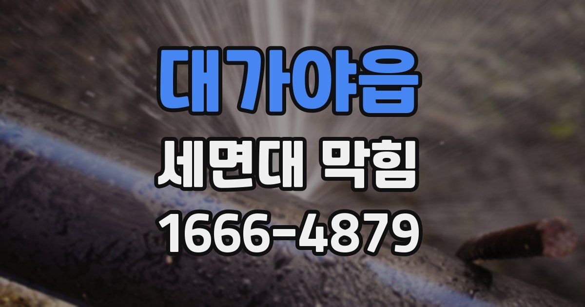 대가야읍 세면대 막힘