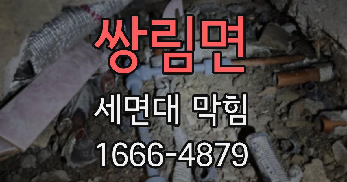 쌍림면 세면대 막힘